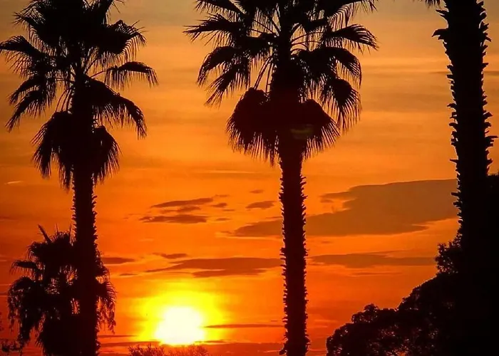 Θέρετρο La Palmeraie Fréjus